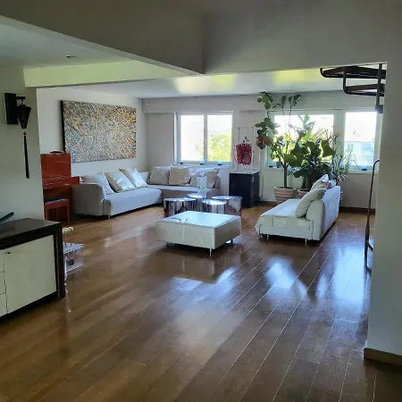 Apartment Penthouse Champs Elysees Above 5 Stars Berri Champs Elysees
